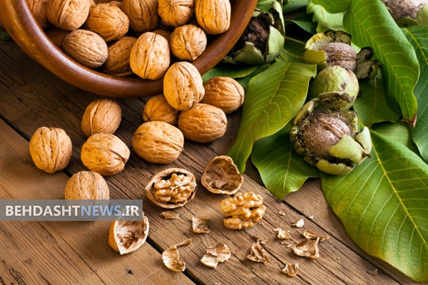 گردو بخورید تا وقت پیری سالم بمانید