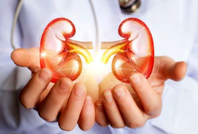 این کارها باعث ایجاد سنگ کلیه می شود 