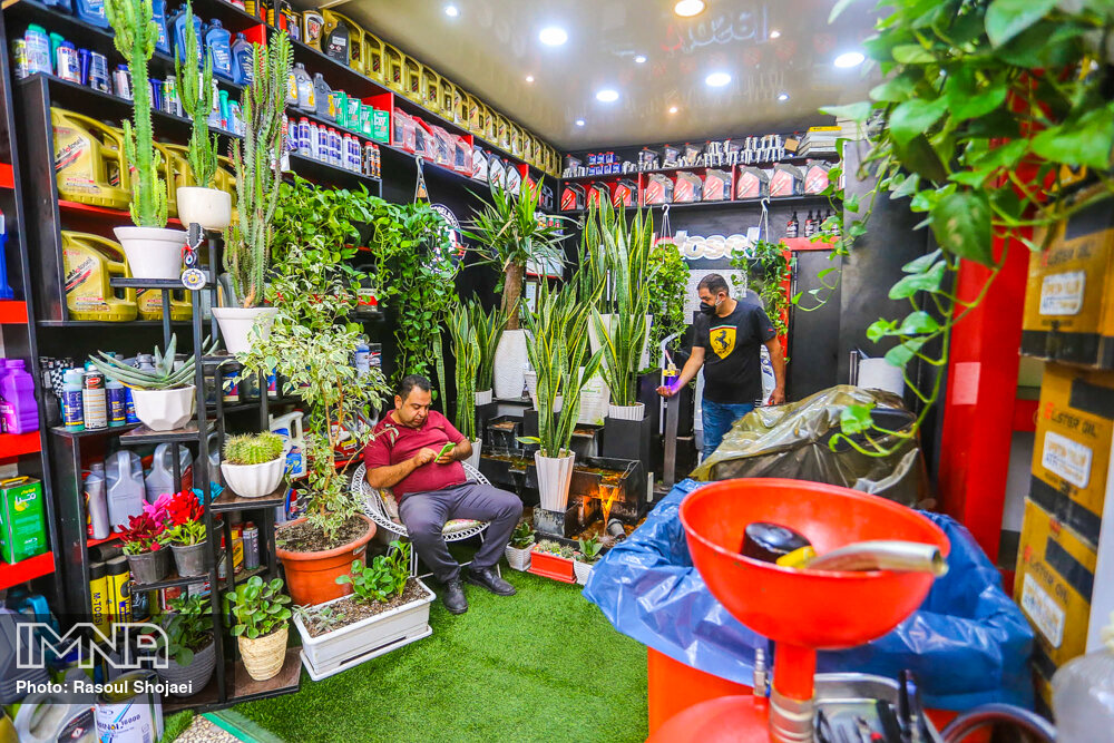  تعویض روغنی متفاوتی که با گل فروشی اشتباه گرفته می شود +‌ عکس