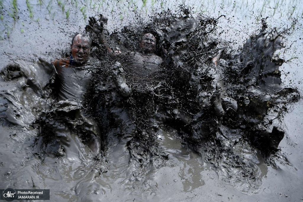 جشنواره روز ملی شالی در نپال + عکس