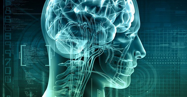 مهم‌ترین نقطه قوت آزمایشگاه ملی نقشه برداری مغز چیست؟