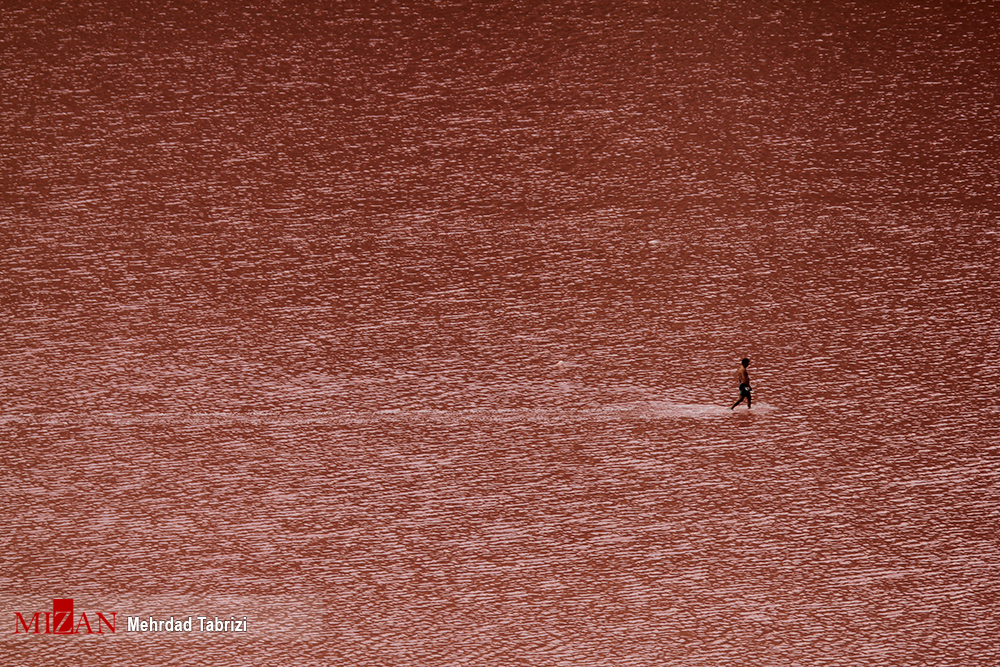 دریاچه ارومیه به رنگ سرخ + عکس