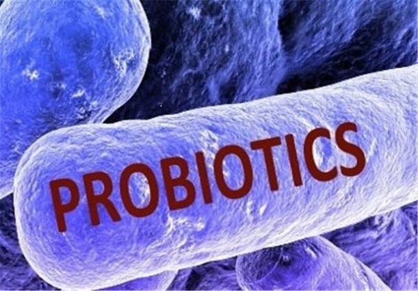 مصرف پروبیوتیک،  سلامت روده  و افزایش سیستم ایمنی  را تضمین می‌کند