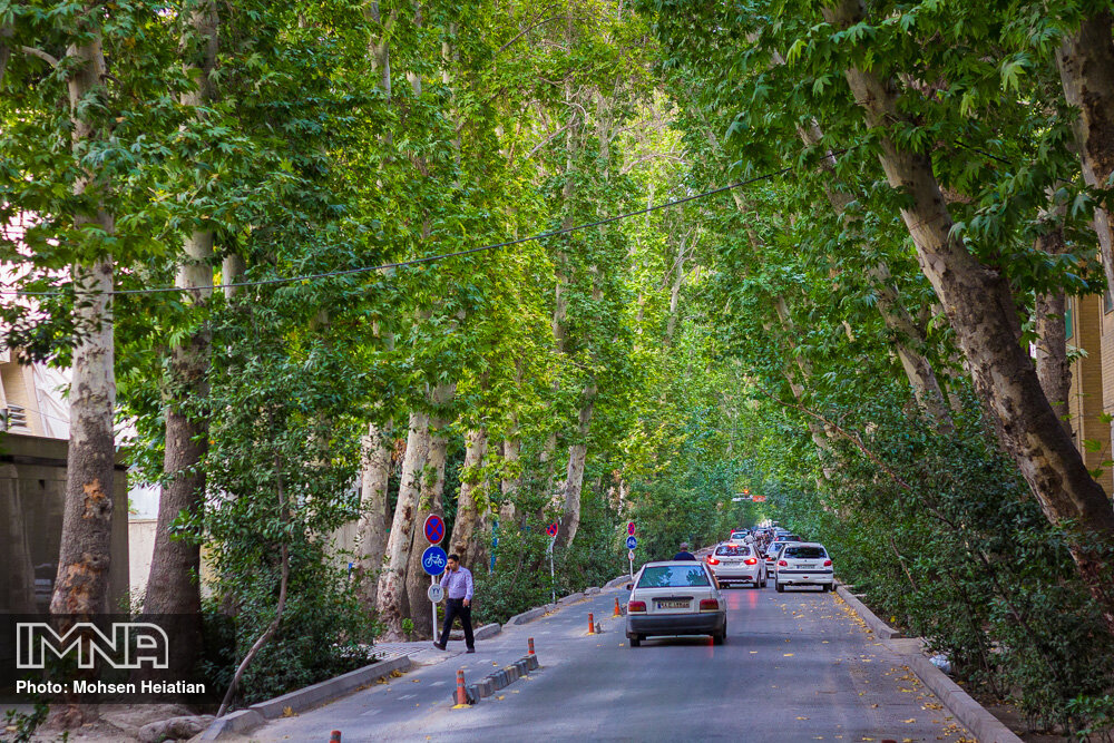 محله با صفای عباس آباد اصفهان + عکس