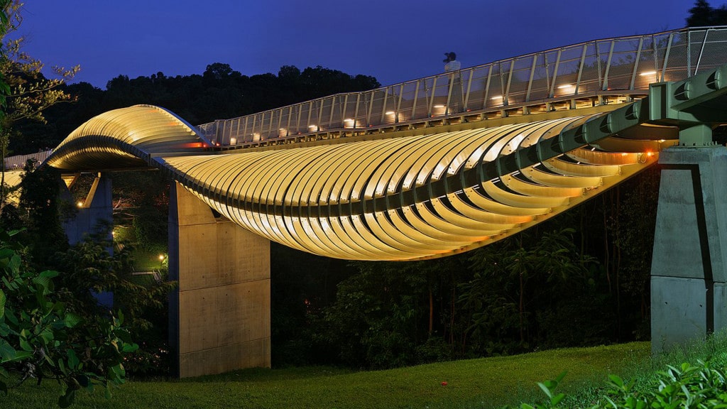 پل مواج هندرسون در سنگاپور + عکس