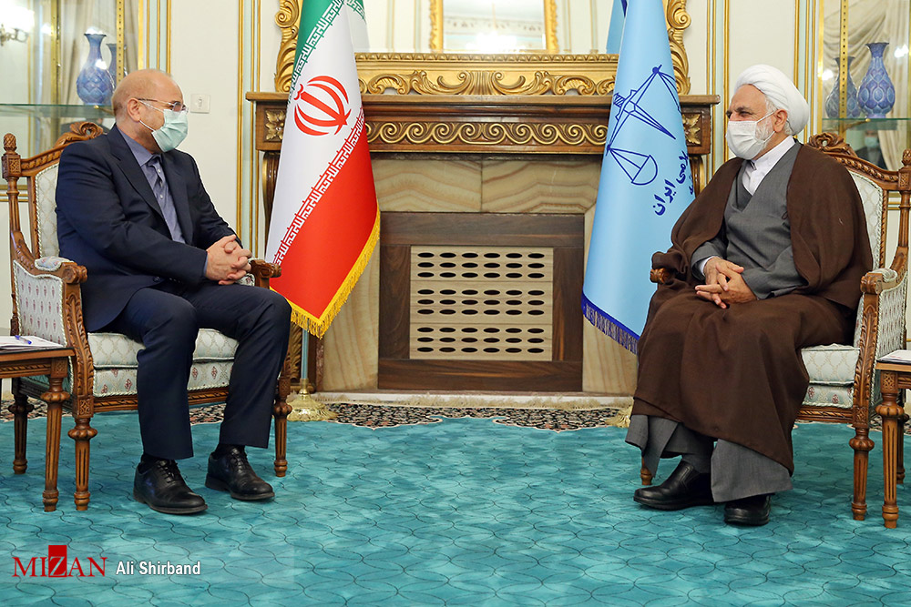 دیدار رئیس مجلس با رئیس قوه قضائیه + عکس