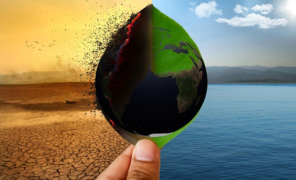  آب و هوا روی قد و اندازه مغز تاثیردارد