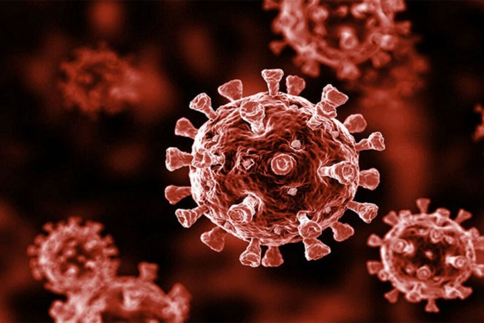 کرونا ویروسی به قدمت ۲۵ هزار سال!