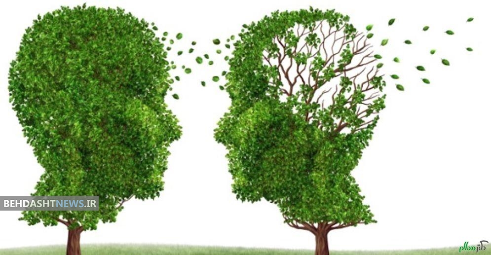  برای پیشگیری از ابتلا به آلزایمر مطلب زیر را از دست ندهید