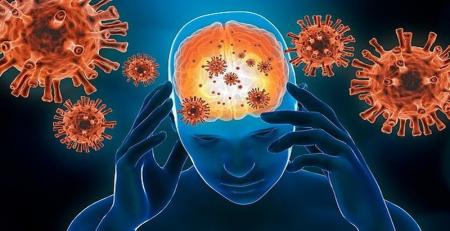 تاثیر کرونا بر روی مغز