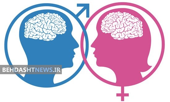 آنچه باید زنان از مغز مردها بدانند