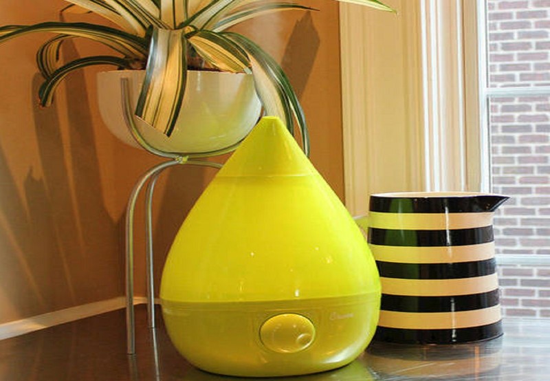 استفاده از مرطوب کننده های هوا چه بلایی سرتان می آورد