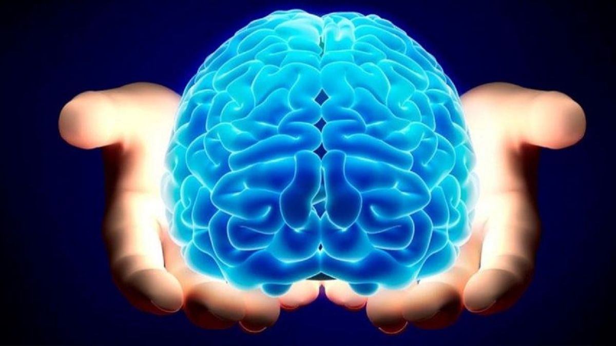 عامل های اصلی کوچک شدن مغز