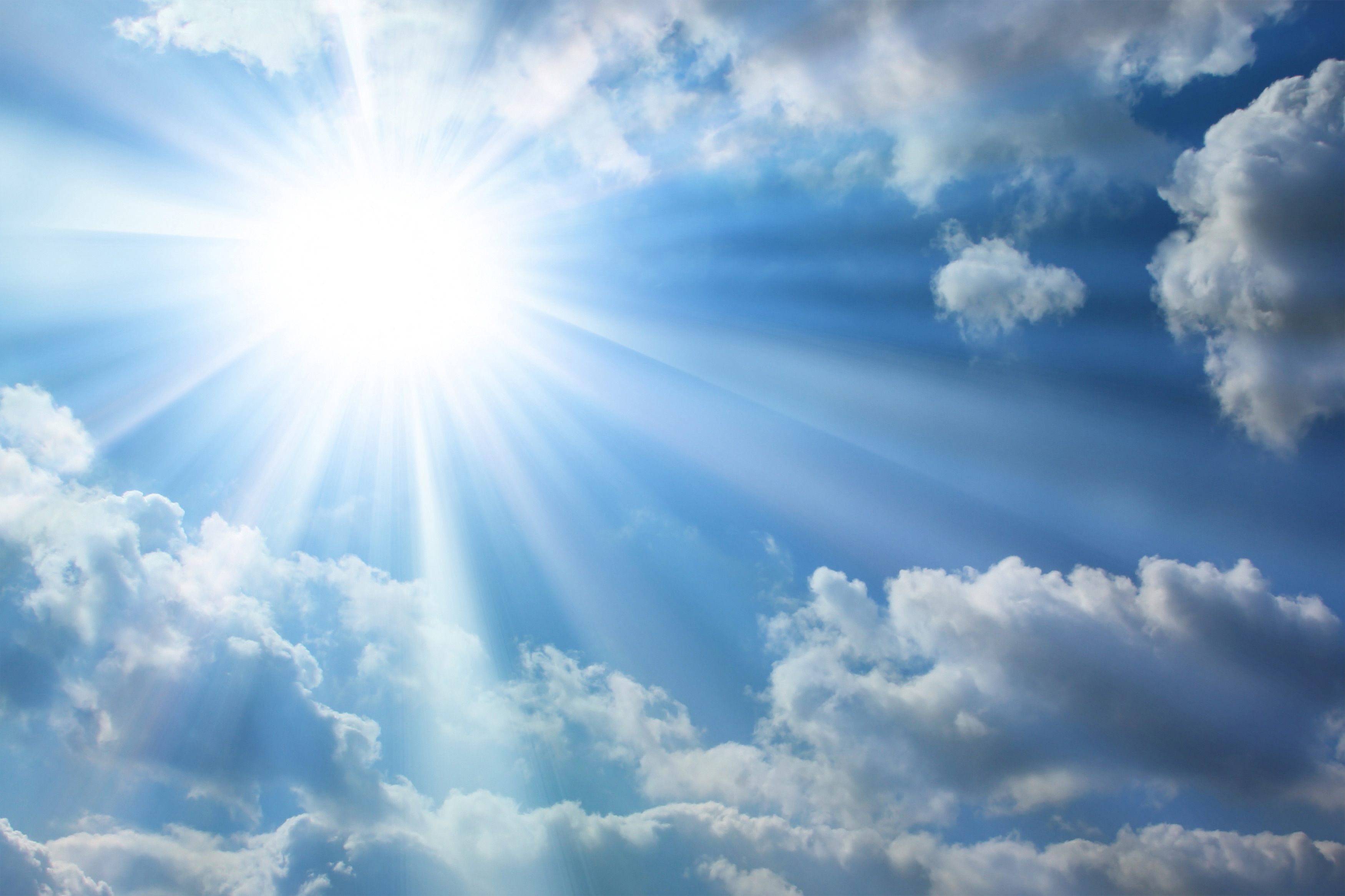 چهار مواد غذایی که مانع آسیب‌های نور خورشید می‌شود