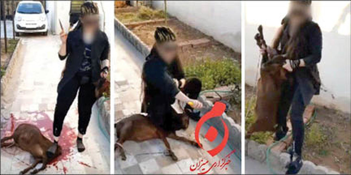 جنجال گروه خانم‌های قصاب و کشتار حیوانات اهلی ! + عکس