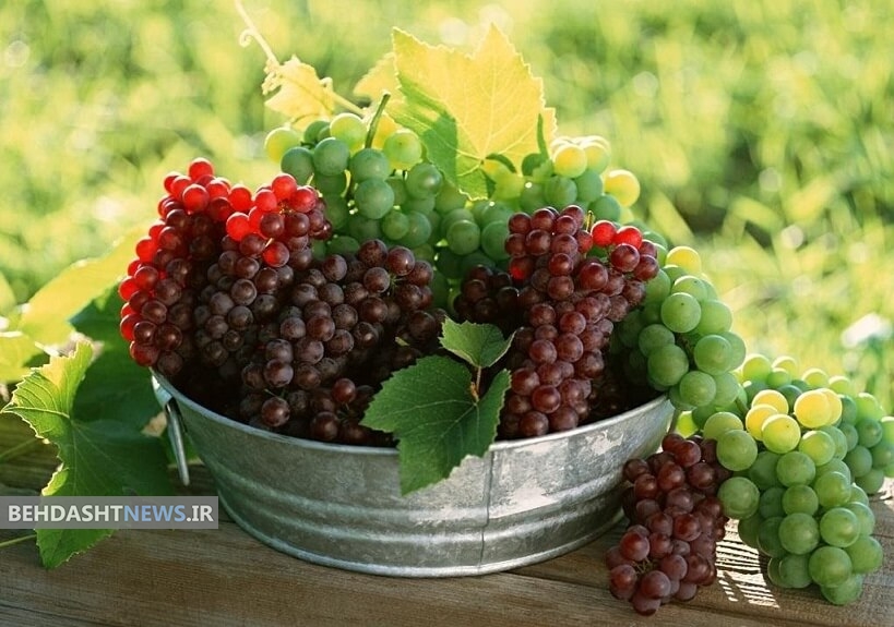 ۲۱ کاربرد انگور برای سلامتی و زیبایی