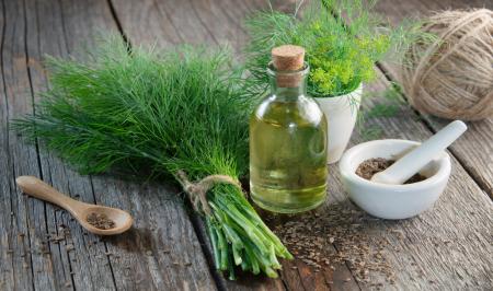  مکمل های دارویی این گیاه شگفت انگیز