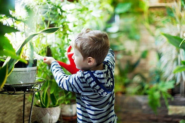 آیا گیاهان دارویی برای درمان بیماری های کودکان مفیدند؟