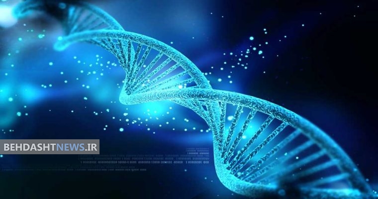 آیا عوامل ژنتیکی درکاهش وزن دخیل‌اند؟