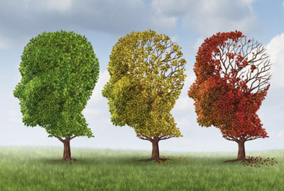 10 راهکار برای کاهش ریسک آلزایمر /اینفوگرافیک
