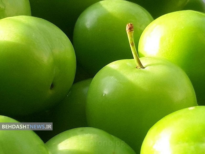 آشنایی با خواص درمانی گوجه سبز
