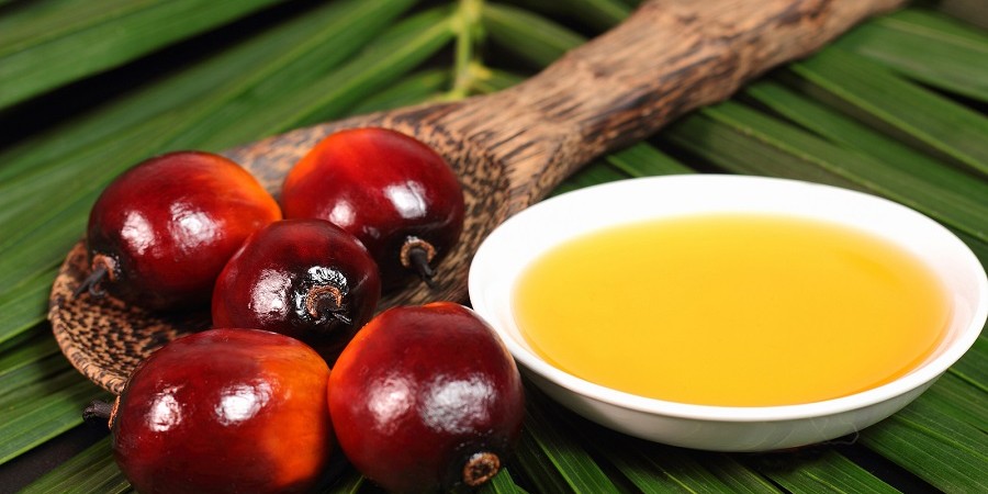 واردات روغن پالم ۵۰ درصد کاهش یافت