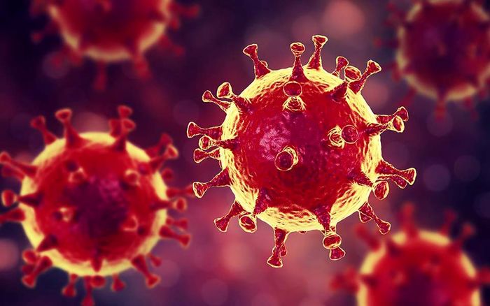 ویروس کووید19 و آنفلوانزا ربطی به یکدیگر ندارند