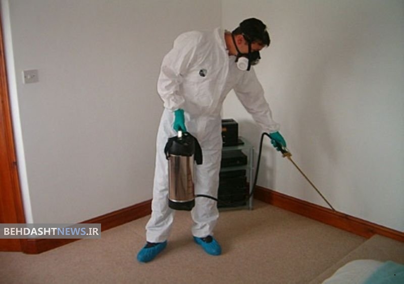 مبارزه با حشرات موذی باید توسط شرکت‌های دارای مجوز انجام گیرد 