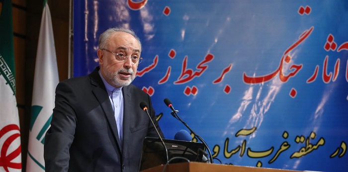 عکس/علی اکبر صالحی و نماینده سازمان ملل در همایش مقابله با آثار جنگ بر محیط زیست