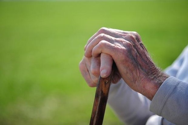 تحصیلات و میزان درآمد نقشی در افزایش سلامت سالمندان دارد؟
