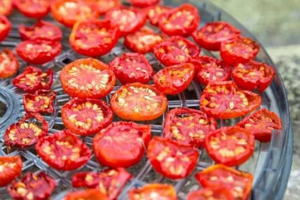راه های خشک کردن سریع گوجه