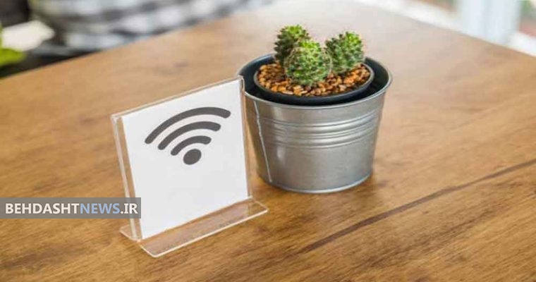 آیا کاکتوس عوارض وای فای را از بین می برد؟