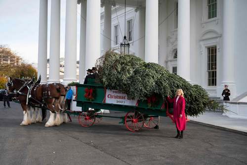 همسر بایدن در حال تحویل گرفتن درخت کریسمس مقابل کاخ سفید + عکس