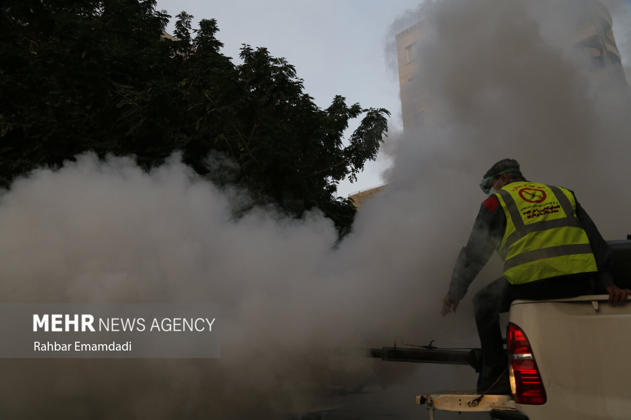 مه‌پاشی علیه پشه «آئدس» در شهر بندرعباس + عکس