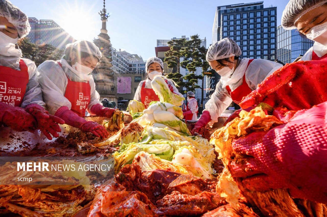  جشنواره بزرگ تهیه خوراک کیمچی در کره جنوبی + عکس