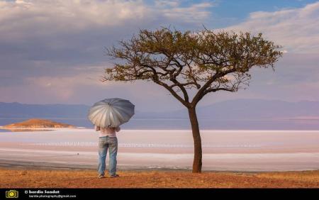 ‏خیره به نمک‌زار به‌جای مانده از دریاچه‌ی خشک‌شده‌ ارومیه + عکس