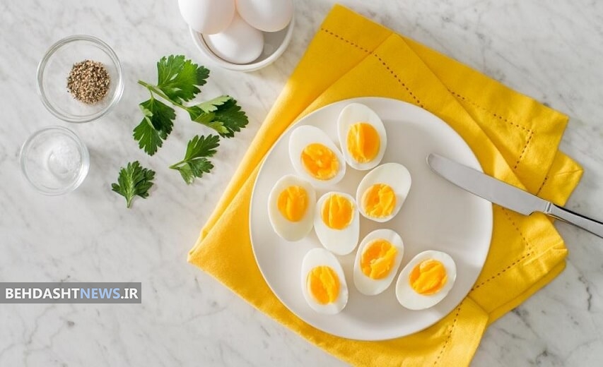 یک تخم مرغ چقدر پروتئین دارد؟