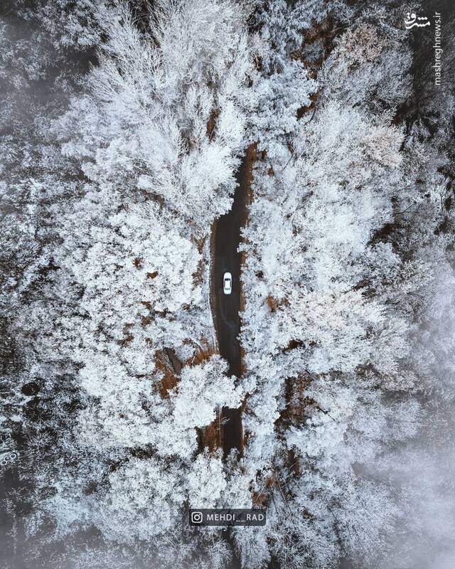 جاده‌ای در دل جنگل برفی مشکین شهر + عکس