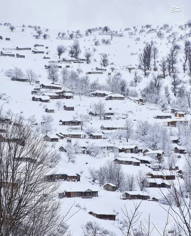 طبیعت زمستانی تالش + عکس