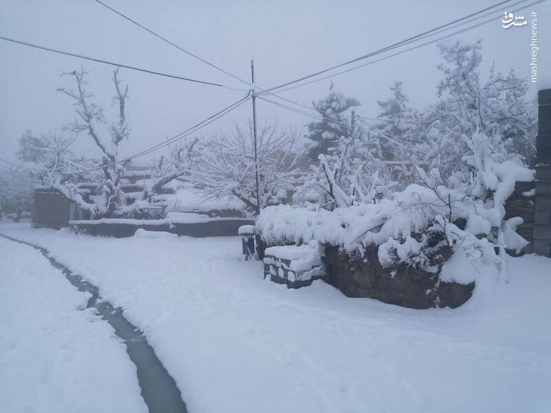 برف ۴۰سانتی متری در گناباد + عکس
