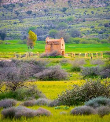 تصویر دیدنی از گور دختر بوشهر+ عکس 