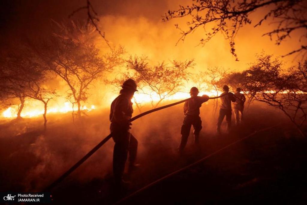 آتش‌سوزی جنگل‌ها در سوروبی پاراگوئه + عکس