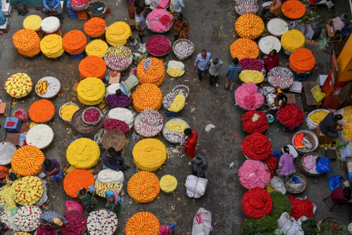 بازار گل هند را از بالا ببینید + عکس