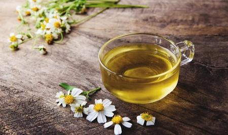 آشنایی با خواص فوق العاده چای سیستوس