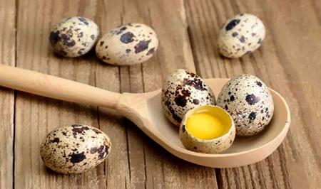افراد بالای ۴۰ سال باید تخم این پرنده را مصرف کنند