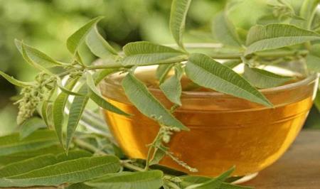 با این گیاه دارویی دستگاه گوارشتان را تقویت کنید