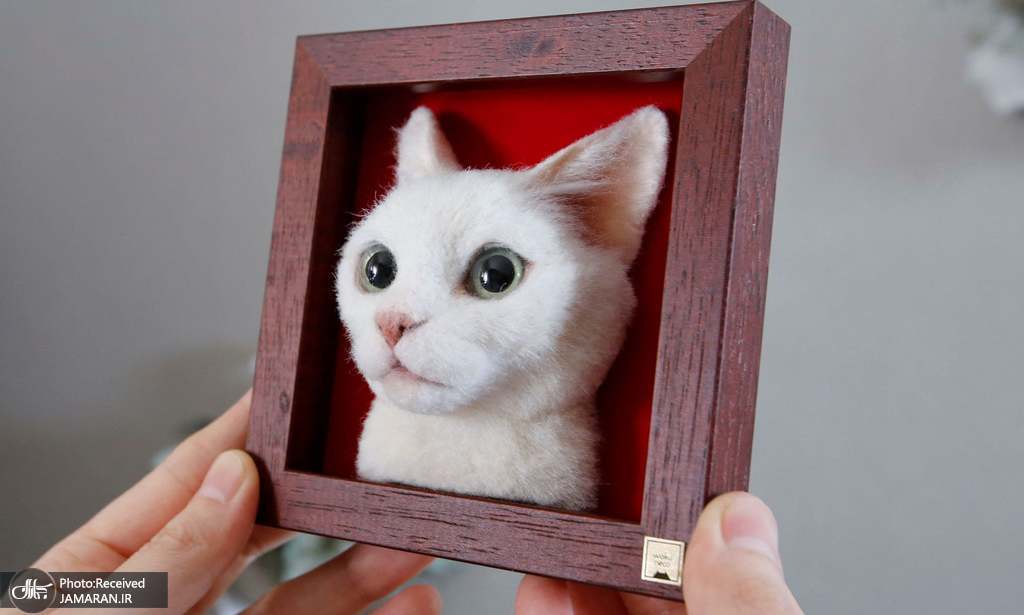 پرتره سه بعدی گربه اثر یک هنرمند ژاپنی + عکس