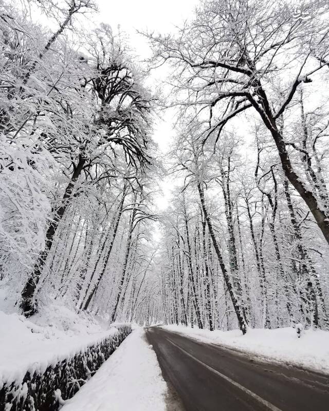 منظره‌ای خیره‌کننده از جاده برفی + عکس