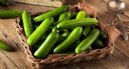 رژیم خیار برای لاغری در ۷ روز + دستور