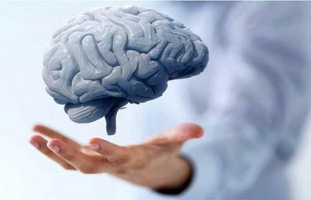 مغز شما با این چهار عادت غذایی سریع‌تر پیر می‌شود